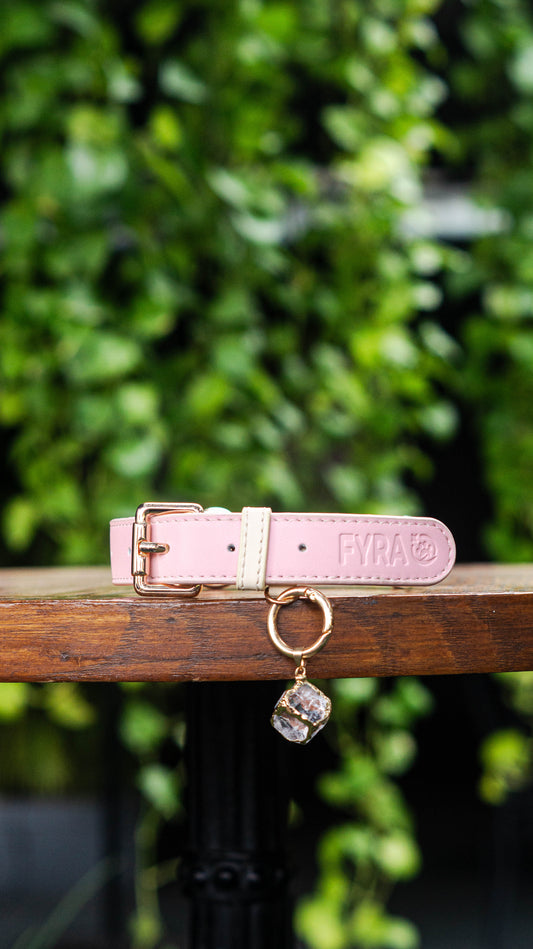 Fyra Paws Healing Collar: Clear Quartz