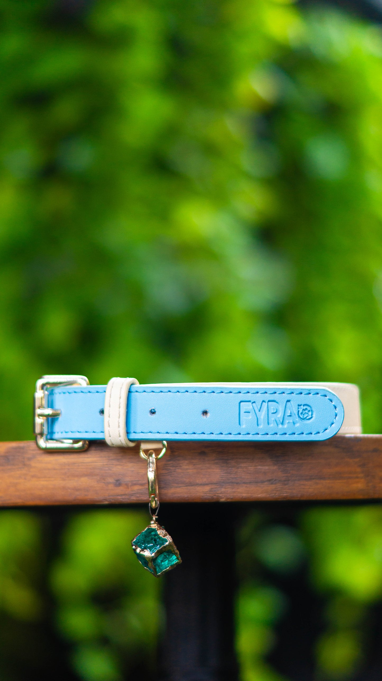 Fyra Paws Healing Collar: Emerald