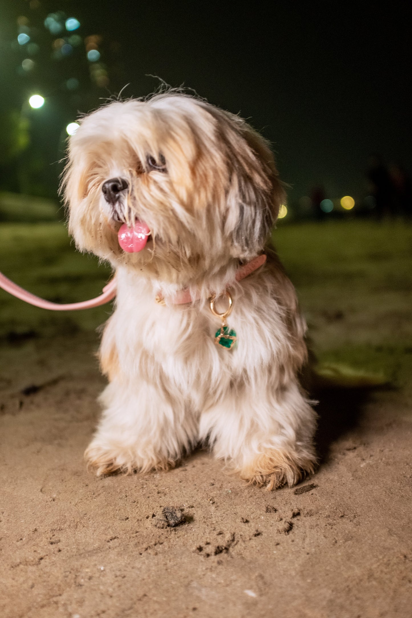 Fyra Paws Healing Collar: Emerald