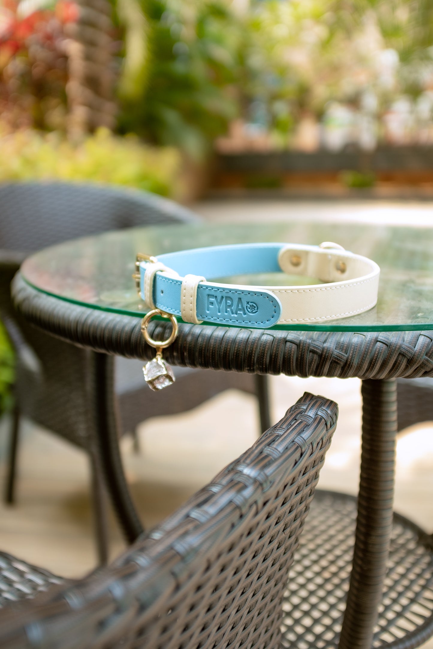 Fyra Paws Healing Collar: Clear Quartz