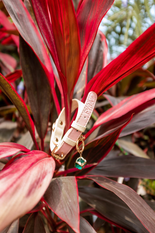 Fyra Paws Healing Collar: Emerald