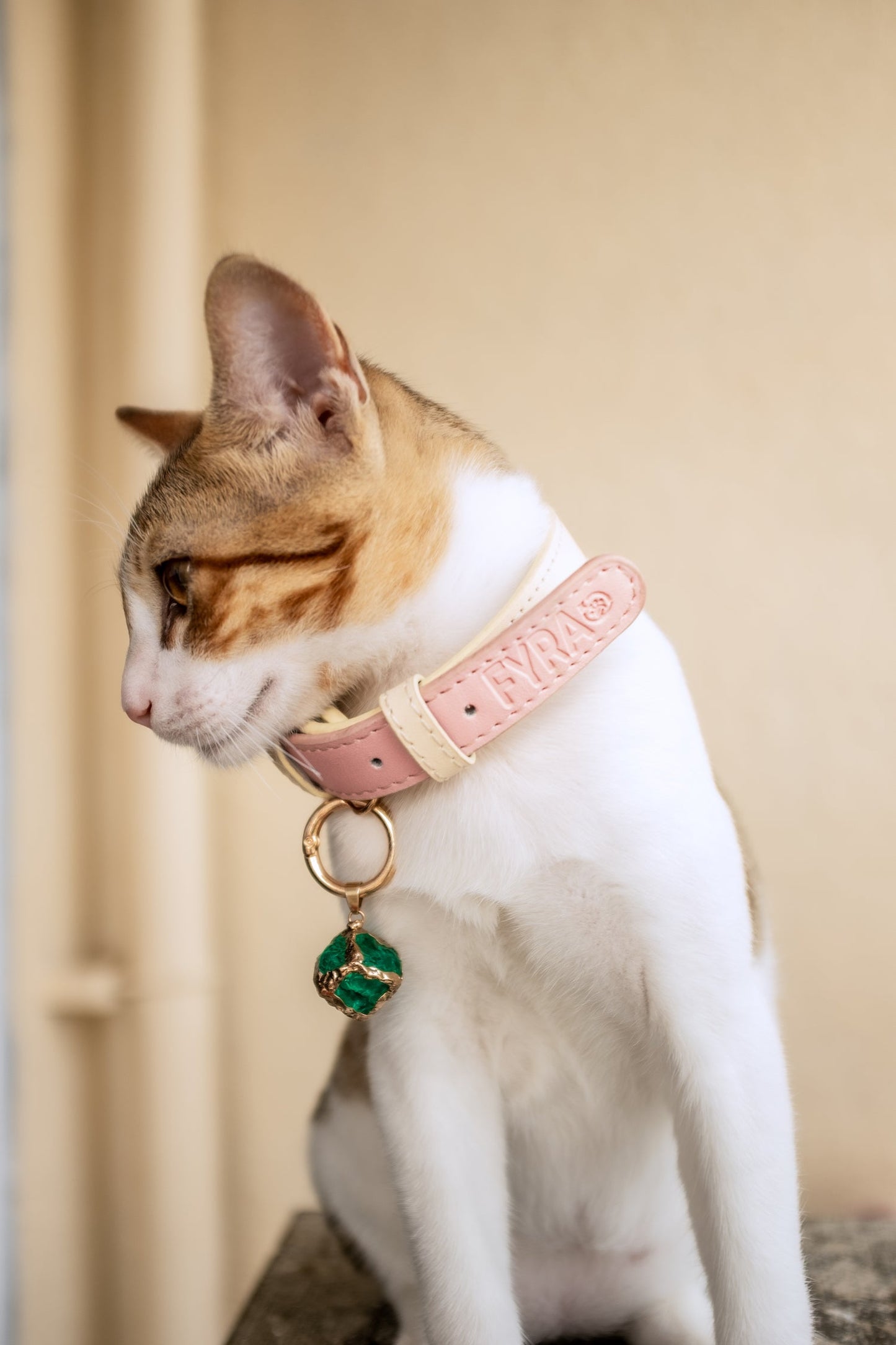 Fyra Paws Healing Collar: Emerald
