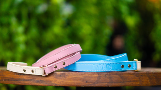 Fyra Paws Leash